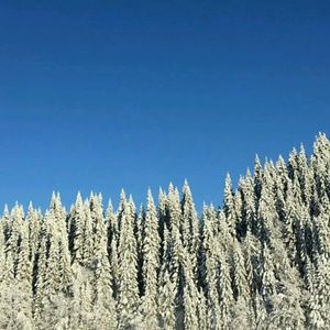 Meet your Posher, Ly